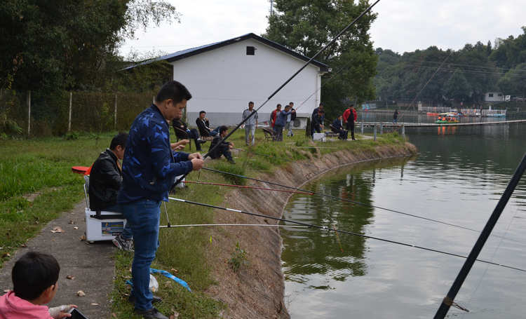 Z6·尊龙凯时「中国区」官方网站